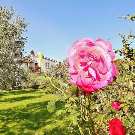 Guest house Durda