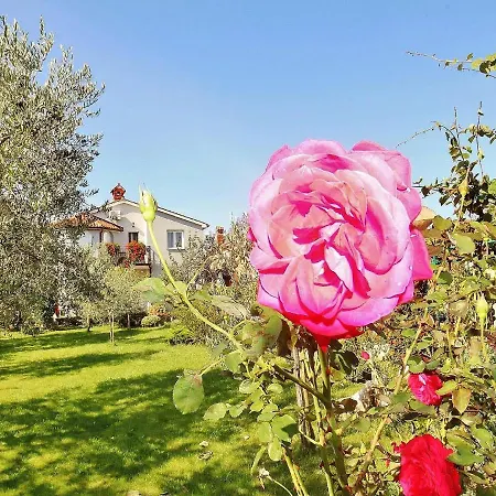 Maison d'hôtes Durda
